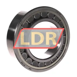 SKF C2214V/C3