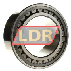 SKF C4122V