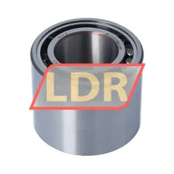 SKF C6006V