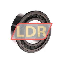 SKF C2210V/C3