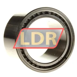 SKF C6910V