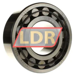 SKF C2318