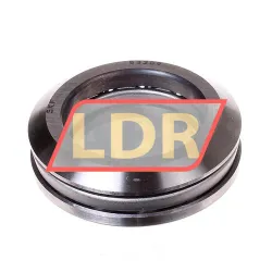 SKF 53209