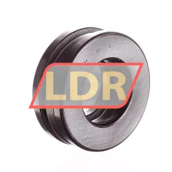 SKF 51306