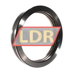 SKF 51136F