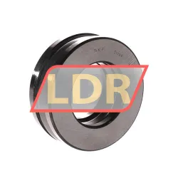 SKF 51309