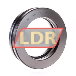 SKF 51220