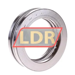 SKF 51217
