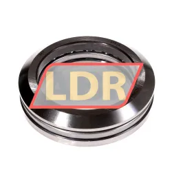 SKF 53216