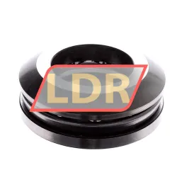 SKF 53310