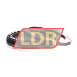 NSK 2919 rulman resim 4