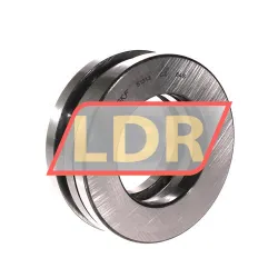 SKF 51313