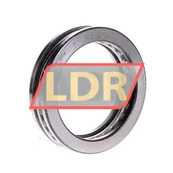 SKF 51118