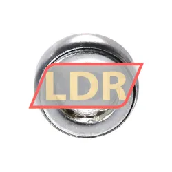 Neutral DLG100/16 rulman resim 2