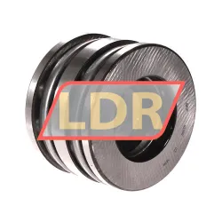 SKF 52309