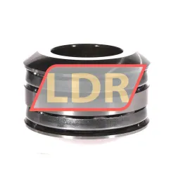 SKF 54309