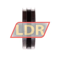 INA 89306-TV rulman resim 2