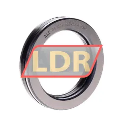 SKF 81113TN