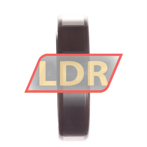 SKF BSD2562CGA ürün fotoğrafı 2