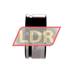 INA ZKLF1255-2RS-PE rulman resim 2