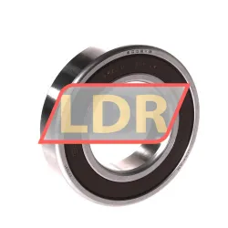 NSK 6006L11-H-20DDU