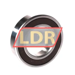 NSK 6006L11-H-20DDU rulman resim 2