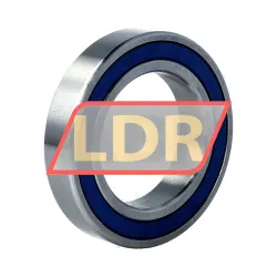 Neutral SS6010-2RS-NR rulman resim 2