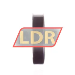 FAG S6008-2RSR-HLC rulman resim 2