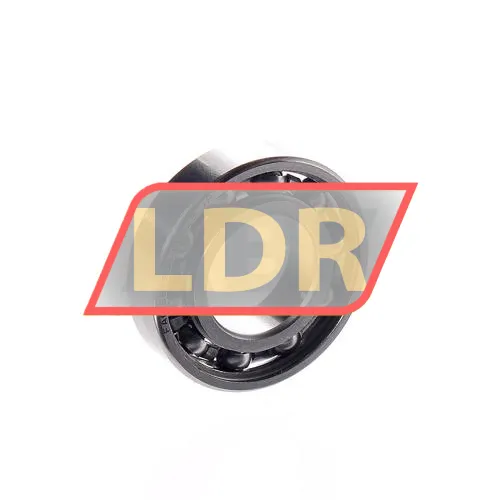 FAG S61901-HLC