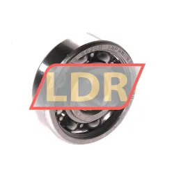 FAG S6200-HLC