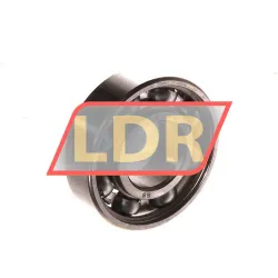 SKF W6001