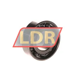 SKF W6003 rulman resim 2