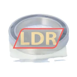 SKF W61807-2RS1