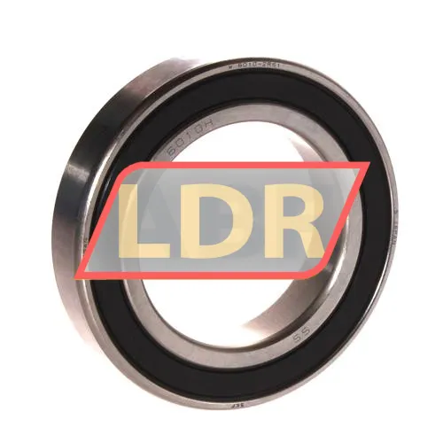 SKF W6010-2RS1