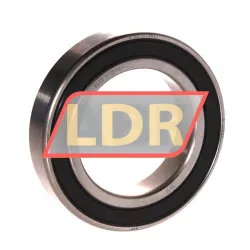 SKF W6010-2RS1