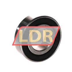 SKF W6004-2RS1