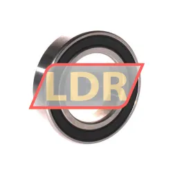 SKF W6008-2RS1