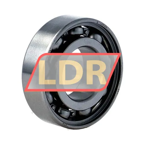 SKF W6004