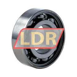 SKF W6004