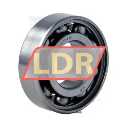 SKF W6004 rulman resim 2