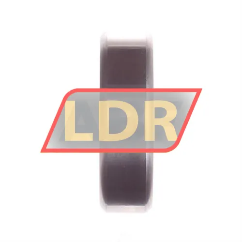 SKF W6304-2RS1 ürün fotoğrafı 2