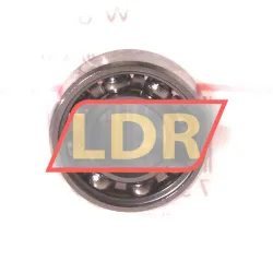 SKF W619/9