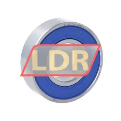 SKF W6002-2RS1/VP311