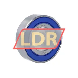 SKF W6004-2RS1/VP311