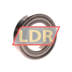 SKF W6009-2Z