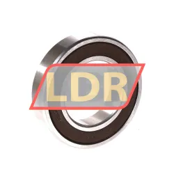 NSK 6007-H-20T1XDDU rulman resim 2