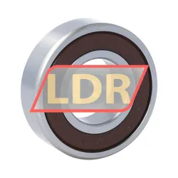 NSK 6004L11-H-20DDU GVS rulman resim 2