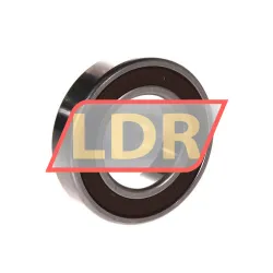 NSK 6006-H-20T1XDDUMA rulman resim 2
