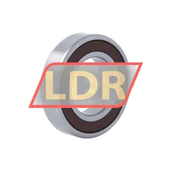NSK 6006L11-H-20DDU GVS rulman resim 2