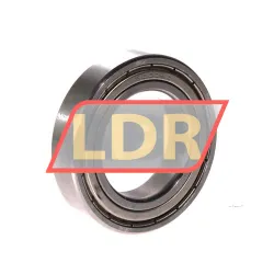 LDI SS6008ZZ